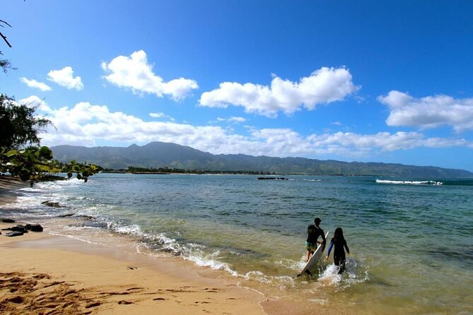 Cage-Free Shark Swim from Oahu - The North Shore Boat Ride