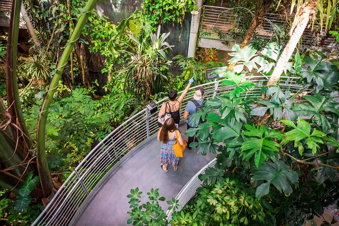 California Academy of Sciences General Admission Ticket - One Building, Four Very Different Experiences