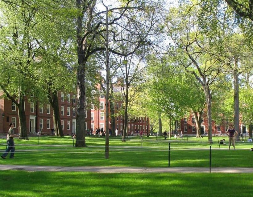 Cambridge, Massachusetts: MIT and Harvard Walking Tour - What to Know Before You Book