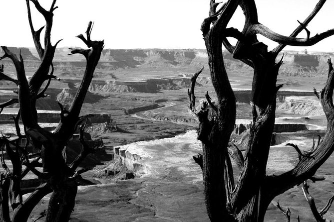 Canyonlands National Park Half-Day Tour from Moab - Musselman Arch and the White Rim views