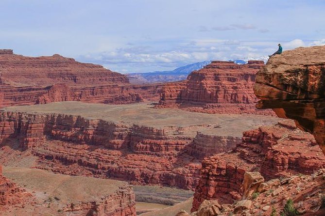 Canyonlands National Park Half-Day Tour from Moab - Shafer Trail and Thelma and Louise Point