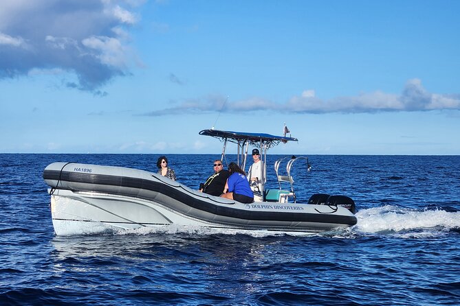 Captain Cook Snorkel Tour with Sea Caves and Lava Tubes - What the crew adds to the experience