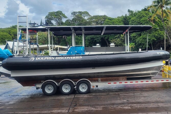 Captain Cook Snorkel Tour with Sea Caves and Lava Tubes - Snorkeling at Captain Cook Monument