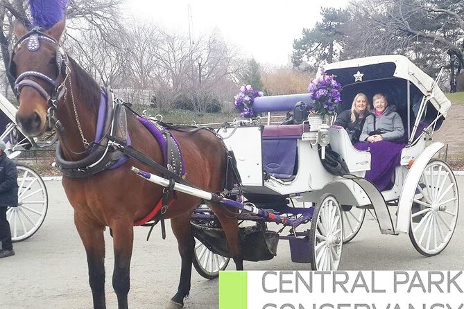 Carriage Ride in Central Park (VIP - PRIVATE) Since 1964™ - What the driver adds to the ride