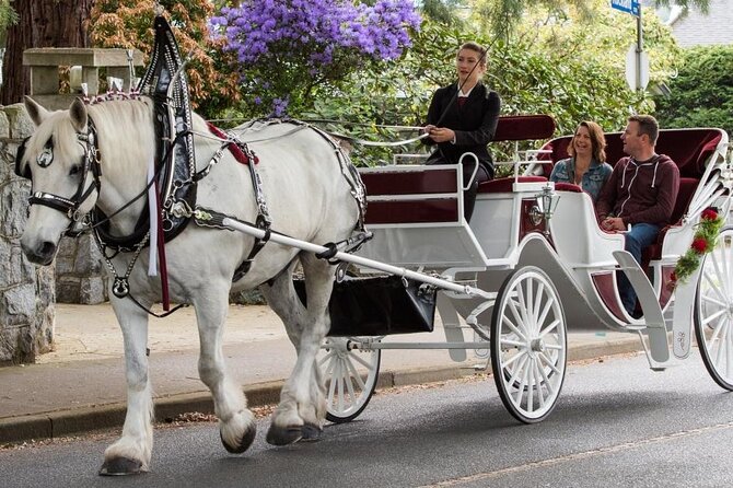 Carriage Ride in Central Park (VIP - PRIVATE) Since 1964™ - Timing, cancellations, and the price of mistakes
