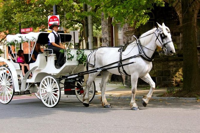 Carriage Ride in Central Park (VIP - PRIVATE) Since 1964™ - Literary Mall and the Balto statue