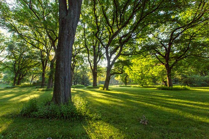 Central Park Guided Walking Tour - Movie locations and the lighter side of the story
