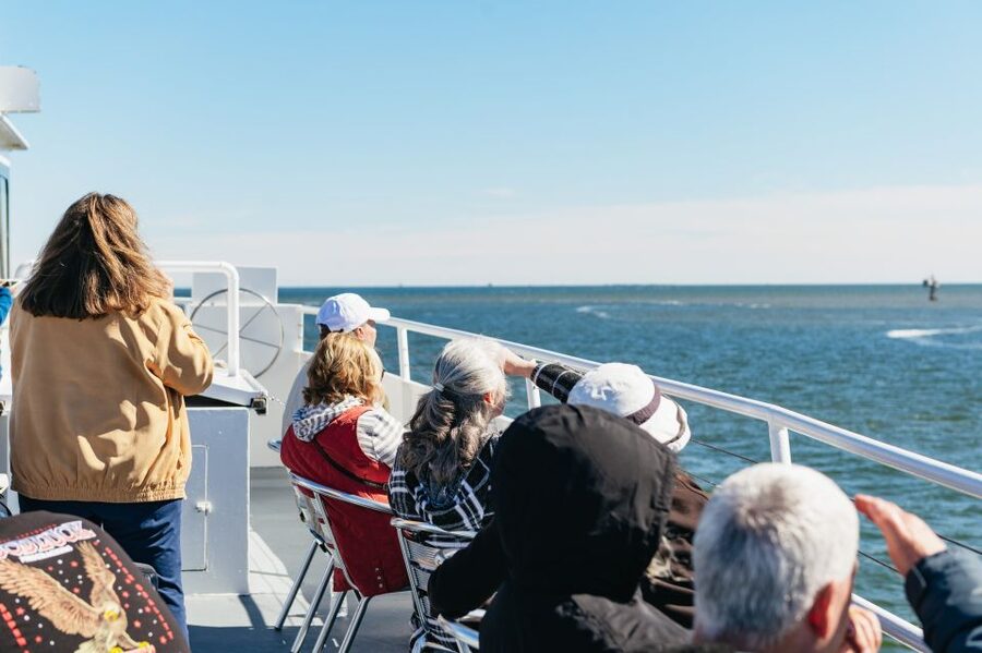 Charleston: Daytime or Sunset Historic Harbor Cruise - The Ravenel Bridge and the return route