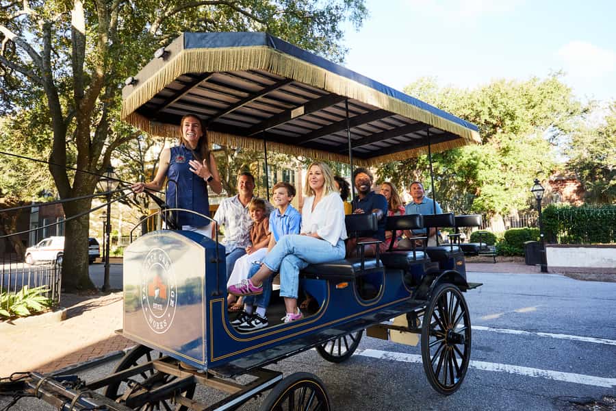 Charleston: Downtown Horse-Drawn Carriage Tour - Comfort, weather, and the horse-drawn pace