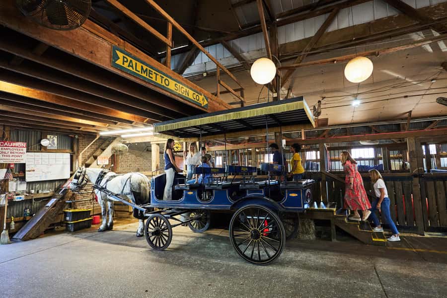 Charleston: Downtown Horse-Drawn Carriage Tour - A slow route through historic Charleston