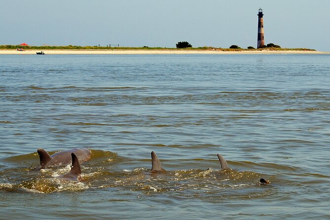 Charleston Eco Boat Cruise with stop at Morris Island Lighthouse - Wind, weather, and comfort on the boat