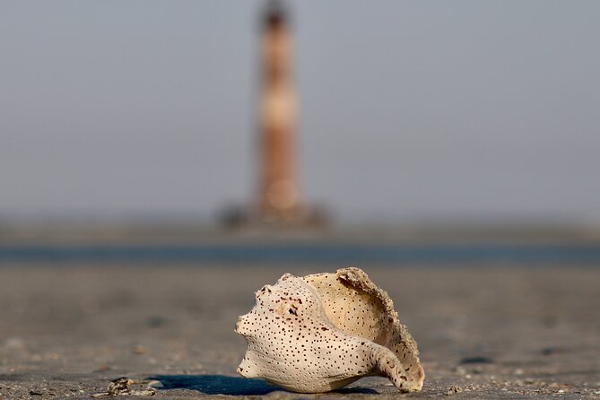 Charleston Eco Boat Cruise with stop at Morris Island Lighthouse - Who should book this Morris Island trip