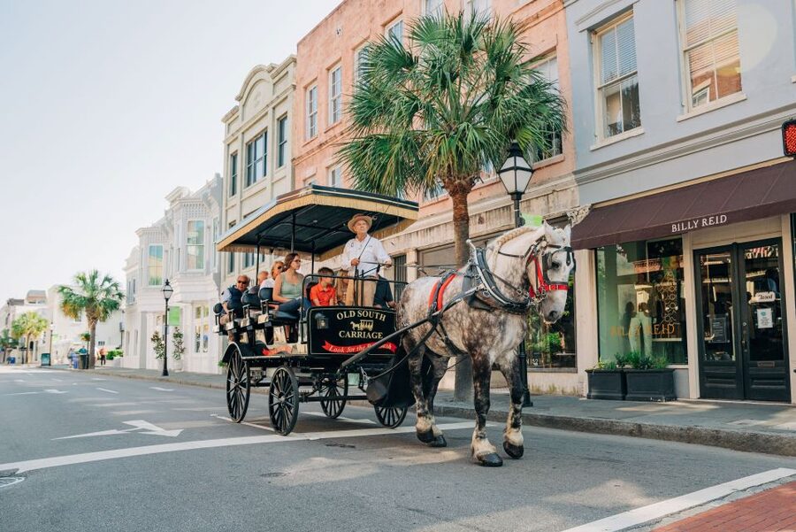 Charleston: Historical Downtown Tour by Horse-drawn Carriage - Why a carriage is a smart first look at Charleston