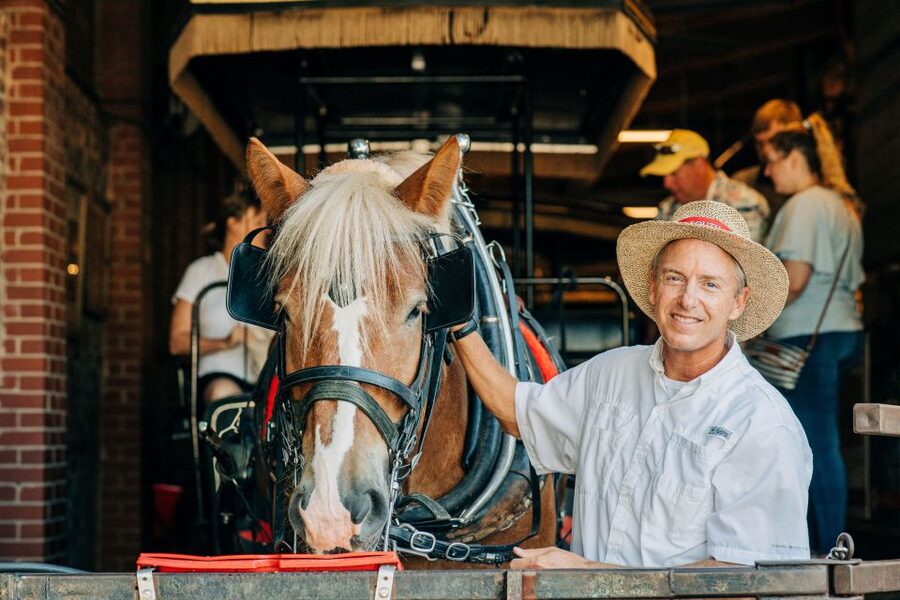 Charleston: Historical Downtown Tour by Horse-drawn Carriage - Comfort, sound, weather, and accessibility