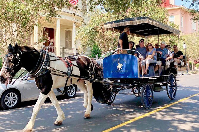 Charleston Horse & Carriage Historic Sightseeing Tour - Starting at City Market on Pinckney Street