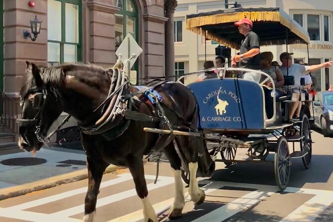 Charleston Horse & Carriage Historic Sightseeing Tour - Rainbow Row and Charleston’s painted facades