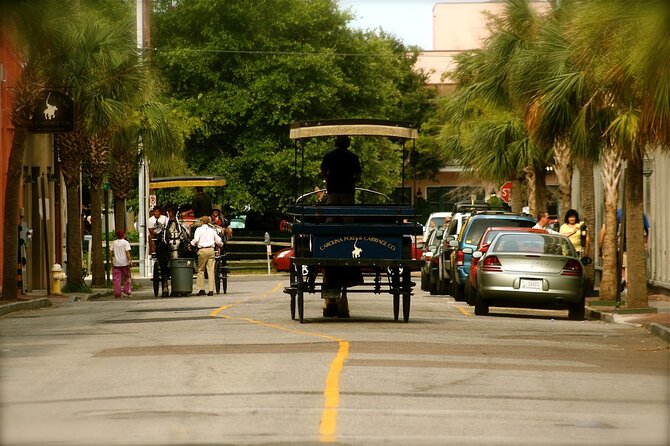 Charleston Horse & Carriage Historic Sightseeing Tour - The guides and the horses shape the experience