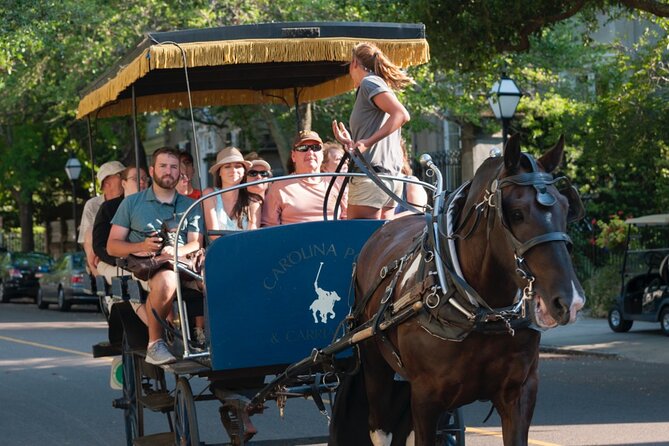 Charleston Horse & Carriage Historic Sightseeing Tour - Hearing the narration on busy Charleston streets