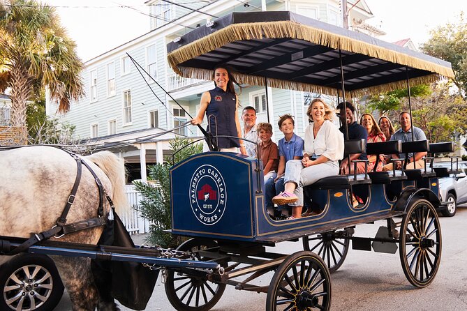 Charleston Horse-Drawn Carriage Tour: Explore Historic Charleston - Why a carriage is a smart first look at Charleston