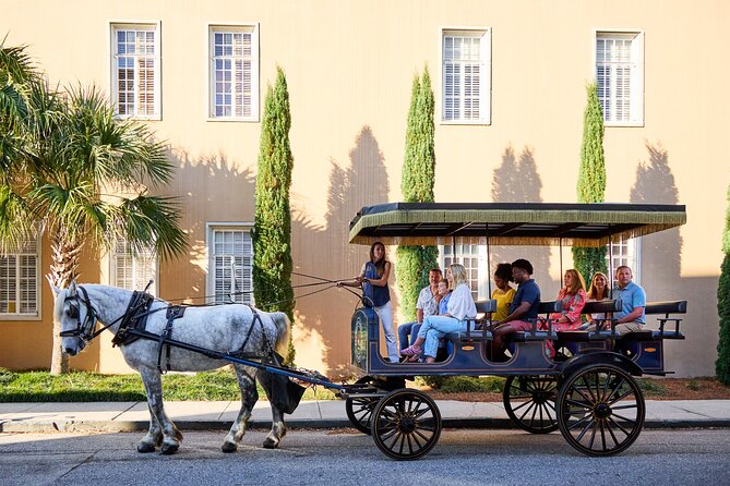 Charleston Horse-Drawn Carriage Tour: Explore Historic Charleston - Horse care and the question of animal welfare
