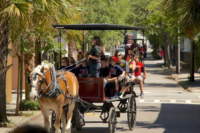 Charleston's Historic Residential Horse and Carriage Tour - Stories from a city-licensed guide