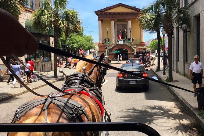 Charleston’s Old South Carriage Historic Horse & Carriage Tour - Mansions, piazzas, gates, and gardens