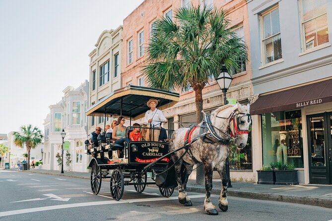 Charleston’s Old South Carriage Historic Horse & Carriage Tour - What the carriage feels like in practice