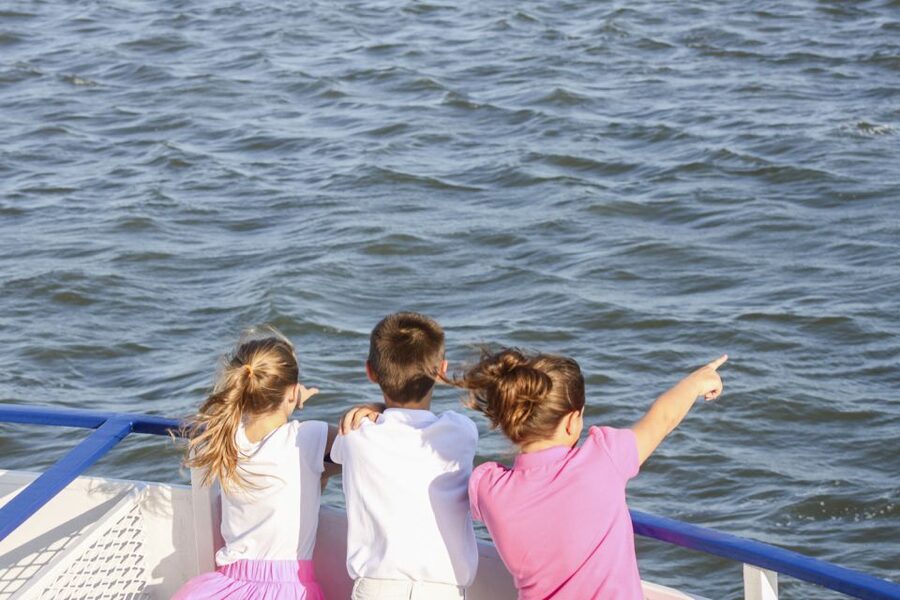 Charleston: Sightseeing Harbor Tour & Dolphin Watch - Fort Sumter: a photo stop with real historical weight