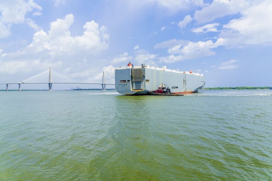 Charleston: Sightseeing Harbor Tour & Dolphin Watch - Dolphins, weather, and the rhythm of the ride