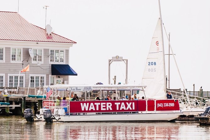 Charleston Water Taxi Cruise with Dolphin Sighting - The dolphin sightings: wonderful, but keep expectations sensible