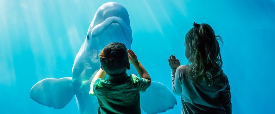 Chicago CityPASS®: Save up to 49% at 5 Top Attractions - 360 CHICAGO for a different skyline angle
