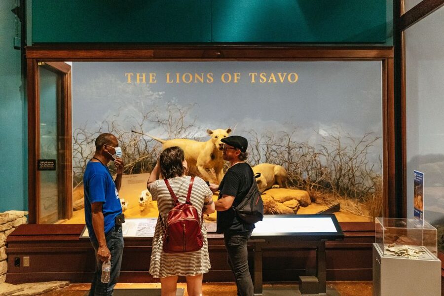 Chicago: Field Museum of Natural History Ticket or VIP Tour - Starting with Sue and Maximo