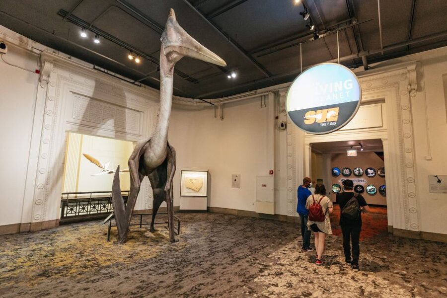 Chicago: Field Museum of Natural History Ticket or VIP Tour - Ancient America, Egypt, and the mastaba tomb