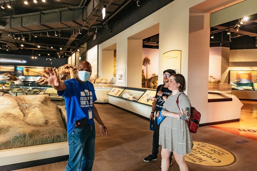 Chicago: Field Museum of Natural History Ticket or VIP Tour - Africa, China, and the Lions of Tsavo