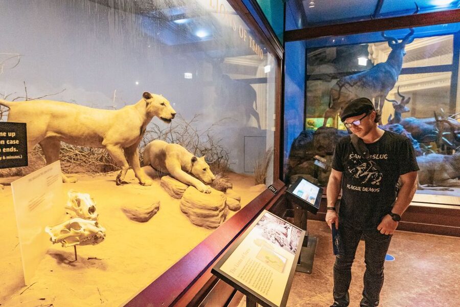 Chicago: Field Museum of Natural History Ticket or VIP Tour - What the VIP tour changes