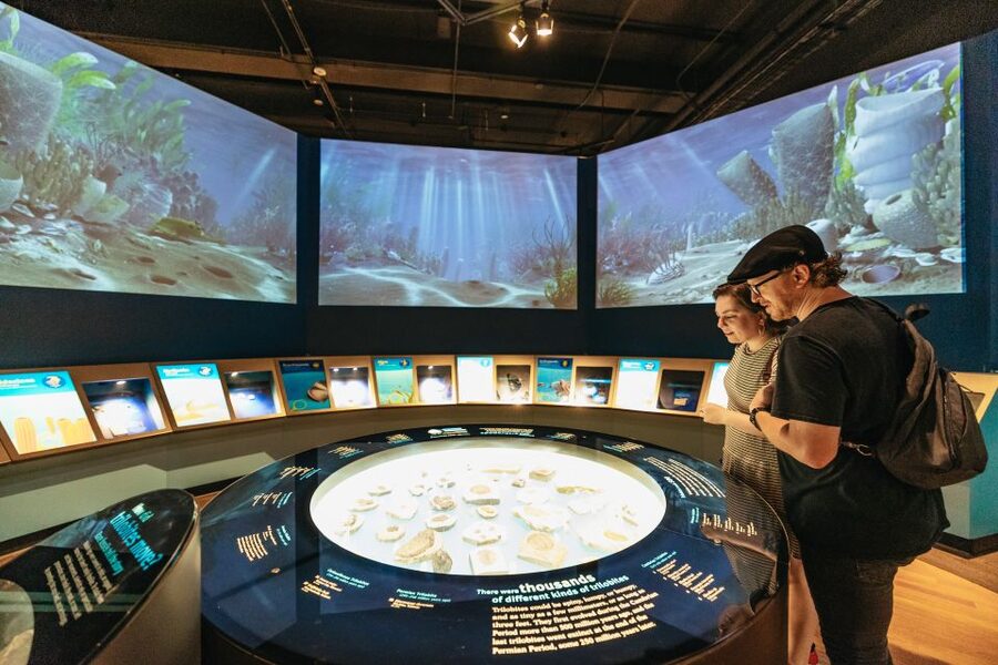Chicago: Field Museum of Natural History Ticket or VIP Tour - Crowds, food, parking, and access