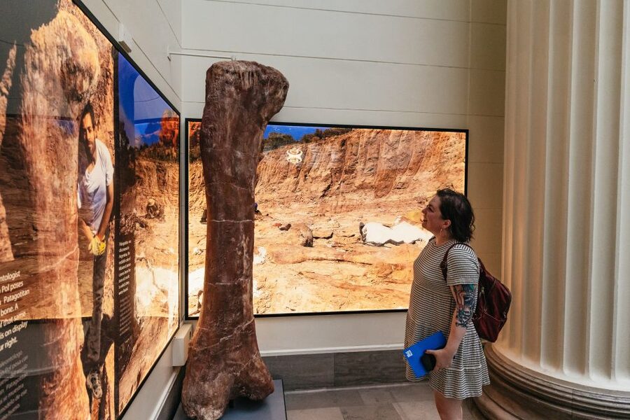 Chicago: Field Museum of Natural History Ticket or VIP Tour - Choosing between the four admission options