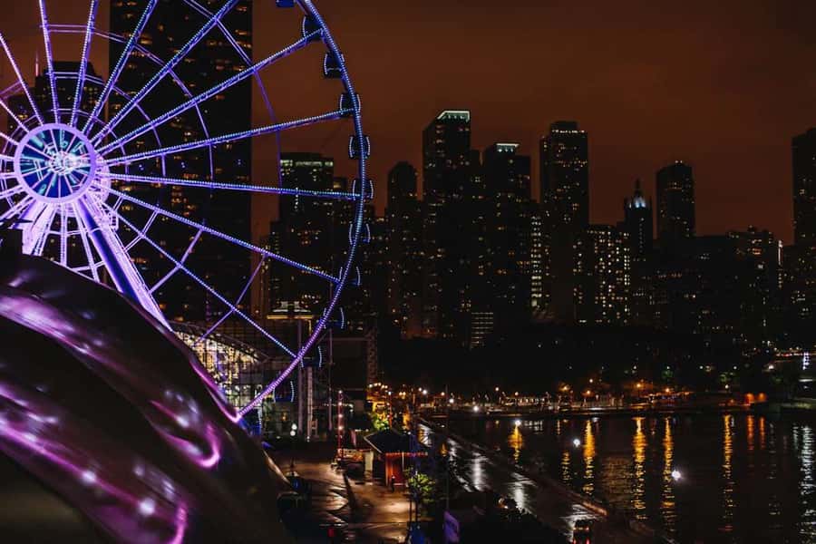 Chicago: Navy Pier Centennial Wheel Ticket - The views from each side of the wheel