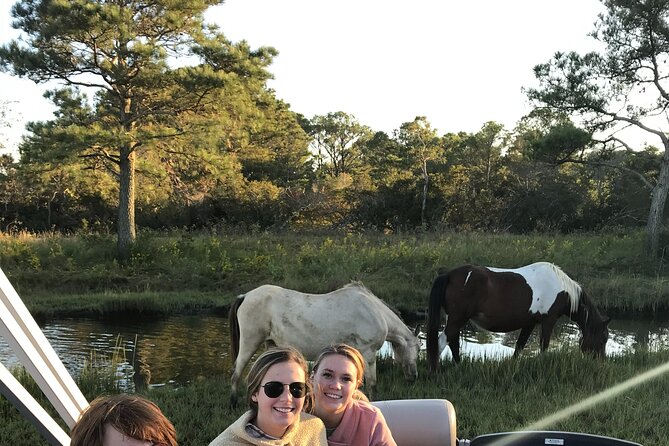 Chincoteague's Up The Bay Pony and Wildlife Tour by Boat - Searching Assateague Island for Chincoteague ponies