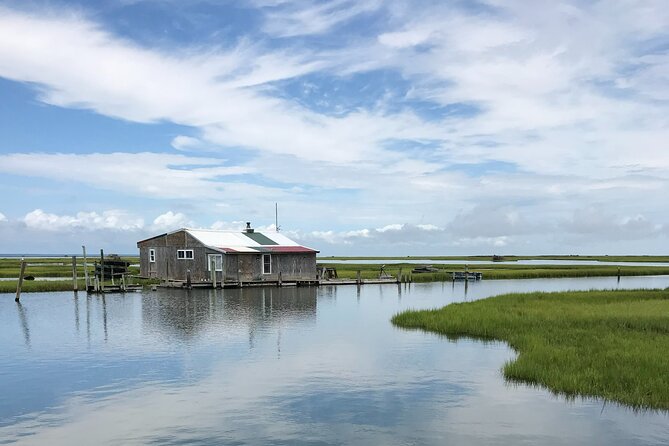 Chincoteague's Up The Bay Pony and Wildlife Tour by Boat - What the two hours feel like on the water