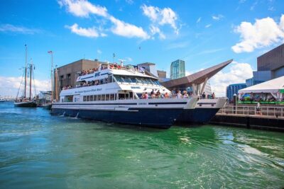 City Cruises Boston Whale Watching Cruise by High-Speed Boat