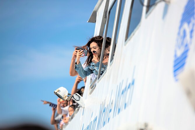 City Cruises Boston Whale Watching Cruise by High-Speed Boat - Motion sickness is the biggest practical concern