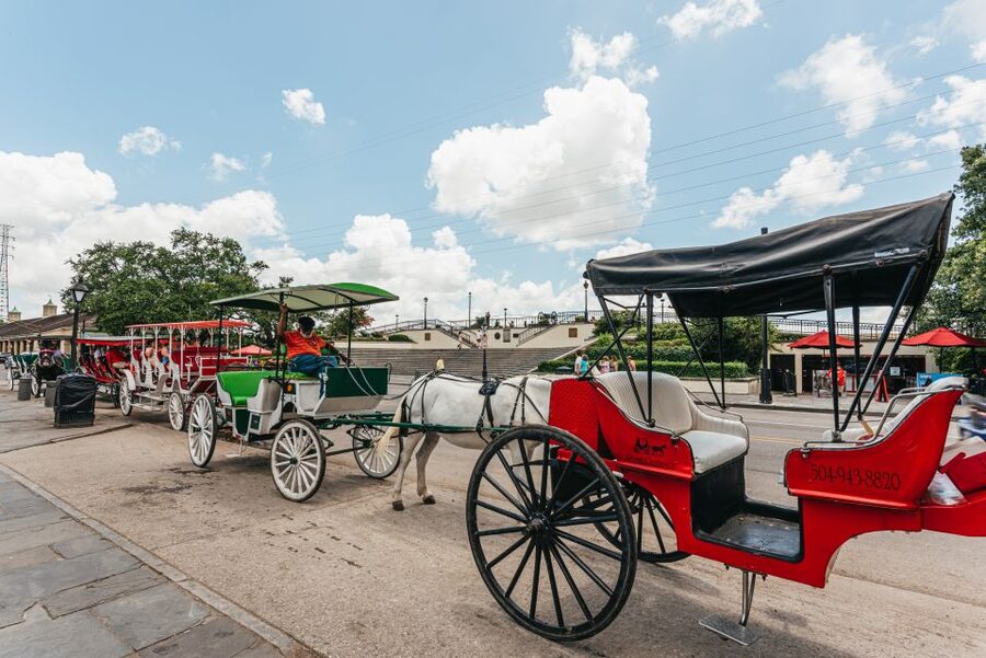 City Sightseeing New Orleans HOHO Bus Tour & Bookable Extras - How to choose between one, two, and three days