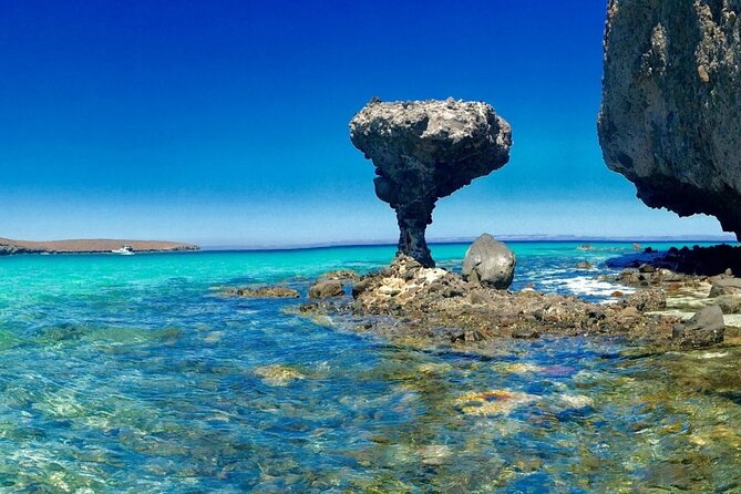 CityTour La Paz, Balandra beach and the Magic Town of Todos Santos - Lunch at Mariscos El Paraje