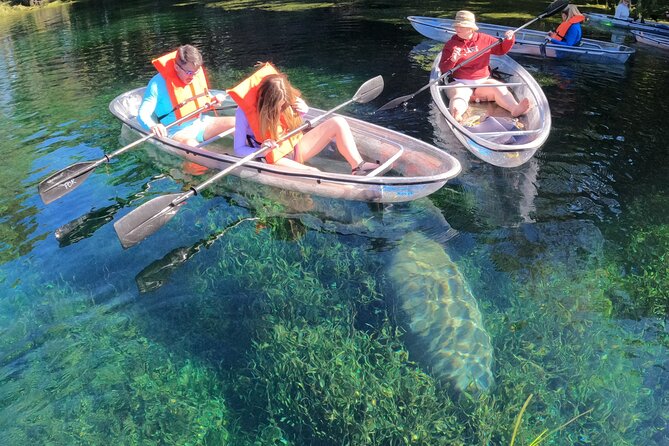 Clear Kayak Manatee Ecotour of Crystal River - Why the clear kayak matters on Crystal River