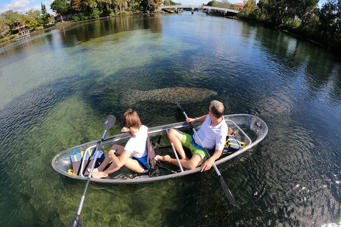 Clear Kayak Manatee Ecotour of Crystal River - Getting into the tandem clear kayaks