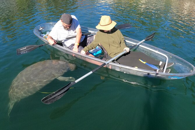 Clear Kayak Manatee Ecotour of Crystal River - Following the water instead of a fixed sightseeing route