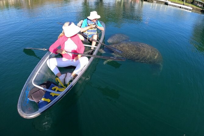 Clear Kayak Manatee Ecotour of Crystal River - Is $79 per person a fair price?