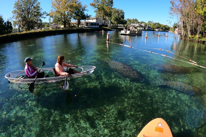 Clear Kayak Manatee Ecotour of Crystal River - Who will enjoy this Crystal River paddle?