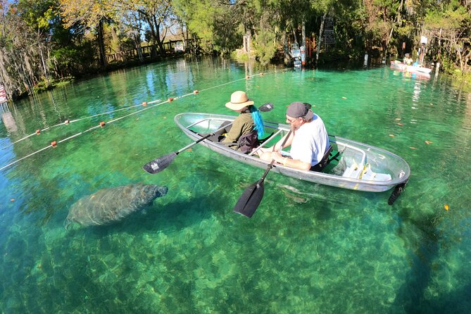 Clear Kayak Manatee Ecotour of Crystal River - Meeting the guide at 1 SW 1st Place